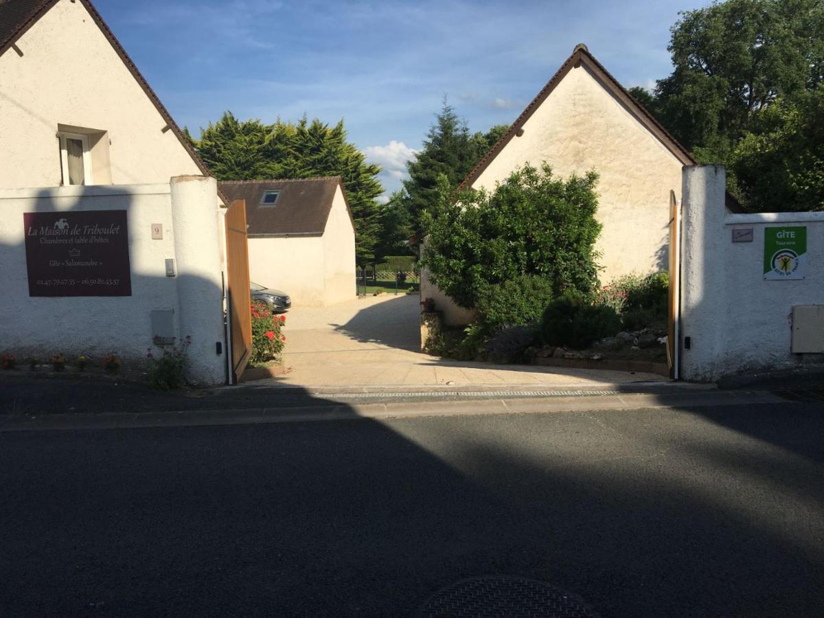 La Maison De Triboulet Chambres Et Table D'Hotes -Amboise- Pocé-sur-Cisse Kültér fotó